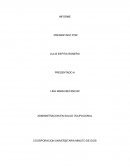 Informe sobre una brigada de emergencia