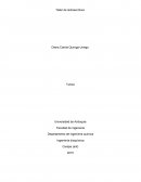 ¿qué hace un profesor en medio de la noche vestido de campesino?