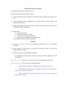 Como se explicaria Explicar a que se denomina servicio de internet.