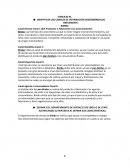 Teoria presupuestos- IDENTIFICAR LOS CANALES DE DISTRIBUCIÓN DESCRIBIÉNDOLOS BREVEMENTE.