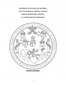 DERECHO INTERNACIONAL PÚBLICO II