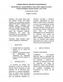 LABORATORIO DE MECANICA DE MATERIALES