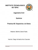 Química Practica #2: Espectros a la flama