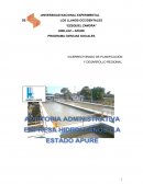 Auditoria Hidrollanos