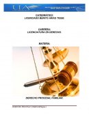 ETAPAS DE DEPURACIÓN, CONCILIACIÓN Y DE EXCEPCIONES PROCESALES