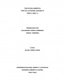 DESCRIPCION DE LA MUESTRA LLEVADA AL BIOENSAYO