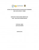 Iniciativas Internacionales