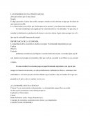 Concepto de economia