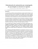 Determinación de aminoácidos por cromatografía de capa delgada en extractos de vegetales