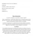 La parte no digerible ni absorbible de origen vegetal