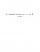 Innovación y Emprendimiento