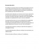 Resumen Ejecutivo Análisis de Costos