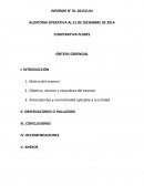 INFORME N° 01-2015/UAI AUDITORIA OPERATIVA AL 31 DE DICIEMBRE DE 2014