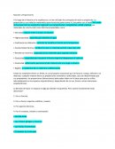 Matematicas Razones y Proporciones