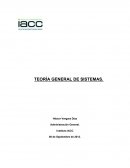¿Qué es la Teoría General de Sistemas y sus características?