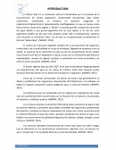 La Marea Roja es un fenómeno natural