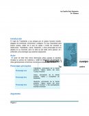 El Triptofanito - Un viaje por el cuerpo humano