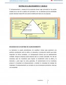 SISTEMA DE ALMACENAMIENTO Y MANEJO
