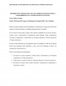 SÍNTESIS DE ANTECEDENTES NACIONALES E INTERNACIONALES