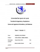 Descripción de la organización Inicial, rubro de la empresa, problema con la organización y solución planteada.