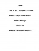 Quimica organica