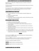 CARACTERISTICAS DE LOS MICROEMPRENDIMIENTOS