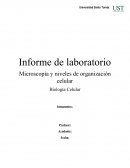 Microscopia y niveles de organización celular