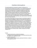 Gradiente electroquimico