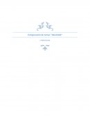 Comparación de temas "Identidad" Literatura