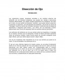 Disección de ojo vacuno