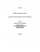 ESPECIALIZACION EN GERENCIA EN SALUD OCUPACIONAL