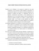 ENSAYO SOBRE TECNICAS DE REDACCION DE HALLAZGOS