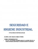 Seguridad e higiene industrial ensayo