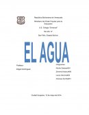 El Agua y su distribución en la Corteza Terrestre