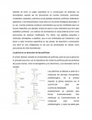 Conversión de Aminoácidos en Productos Especializados