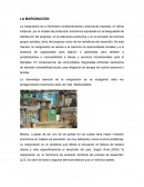 La marginacion es un fenómeno multidimensional y estructural originado