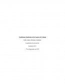 ¿A qué agentes higiénicos y riesgos laborales están expuestos los trabajadores?