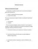 Planificación financiera Definición de desembolso de capital