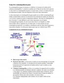 Cromatografía de gases. Componentes
