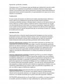 Separacion particula