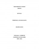 Como predecir el divorcio