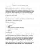 Oxidacion de la manzana