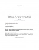 Ensayo balanza de pagos