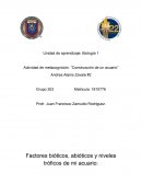 Actividad de metacognición. “Construcción de un acuario”