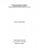 Indicios y Presuncion