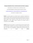 PRUEBAS BIOQUIMICAS PARA LA IDENTIFICACION DE BACTERIAS: KLEBSIELLA