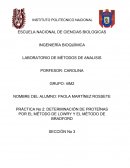 PRÁCTICA No 2: DETERMINACIÓN DE PROTEÍNAS POR EL MÉTODO DE LOWRY Y EL MÉTODO DE BRADFORD