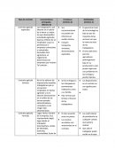 Tipo de contrato Características principales