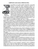 COMITÉS DE LUCHA UNA ALTERNATIVA REAL