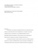 LABORATORIO DE EQUILIBRIO Y CINETICA SEGUNDA PRACTICA: CONSTANTE DE EQUILIBRIO